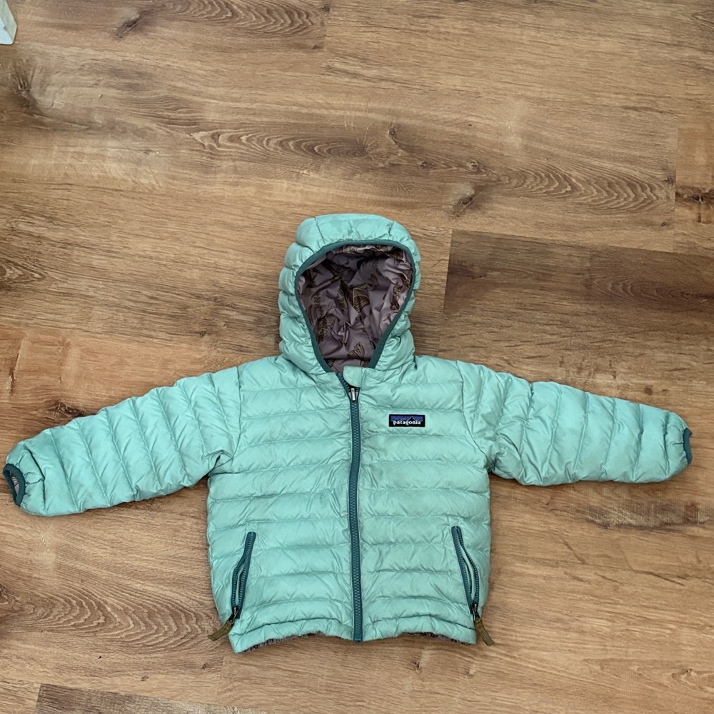 Patagonia Light Green Hooded Jacket